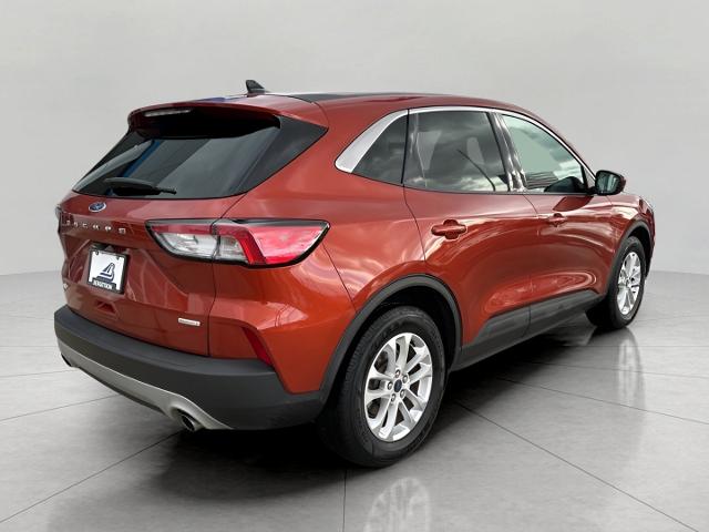 2020 Ford Escape Vehicle Photo in MANITOWOC, WI 54220-5838