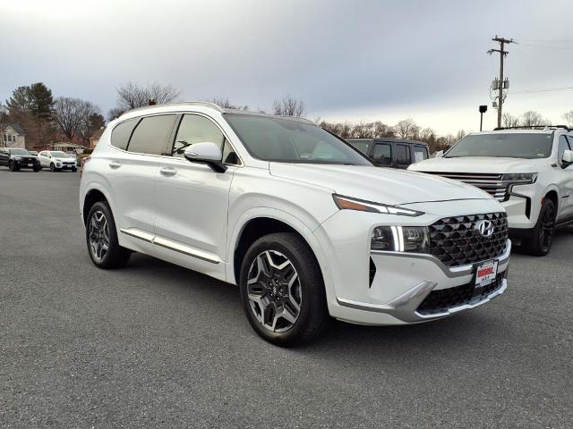 Used 2021 Hyundai Santa Fe Calligraphy with VIN 5NMS5DAL5MH318437 for sale in Winchester, VA