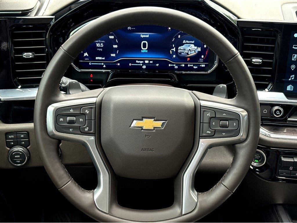 2024 Chevrolet Silverado 1500 Vehicle Photo in SAVANNAH, GA 31406-4513