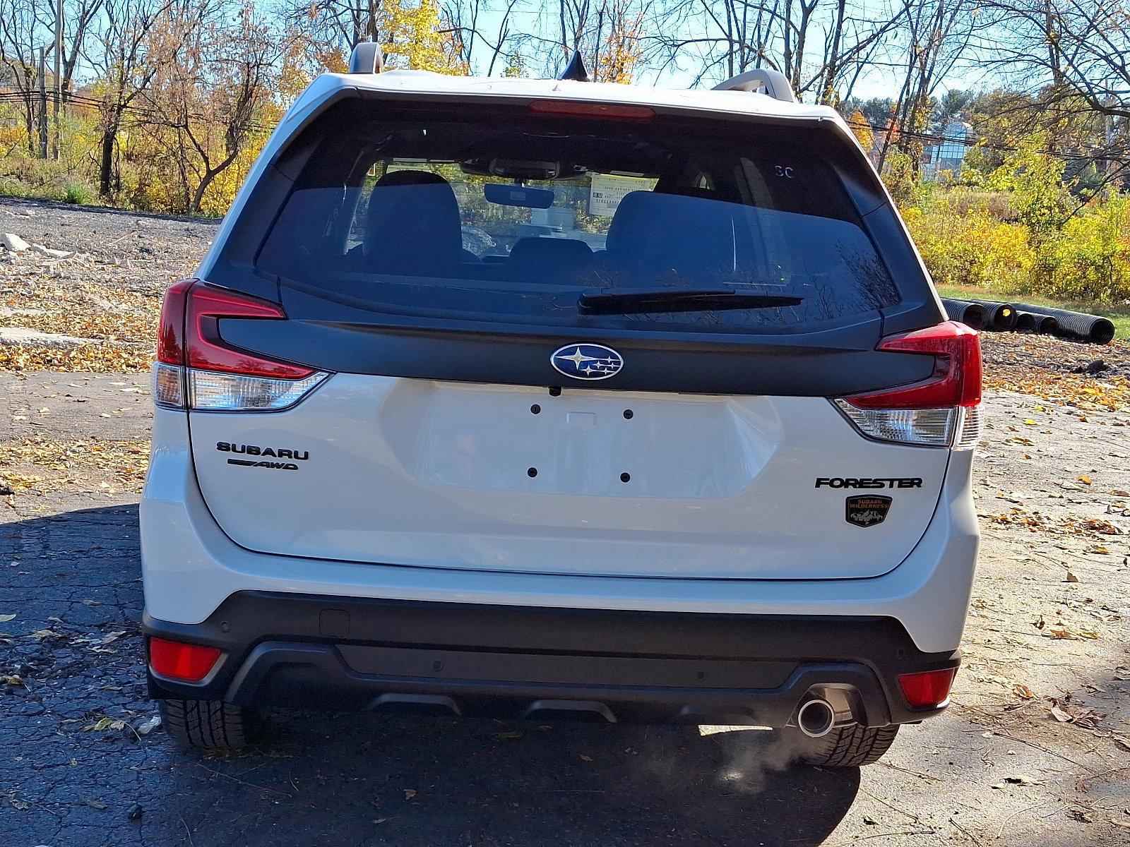 2024 Subaru Forester Vehicle Photo in Mechanicsburg, PA 17050