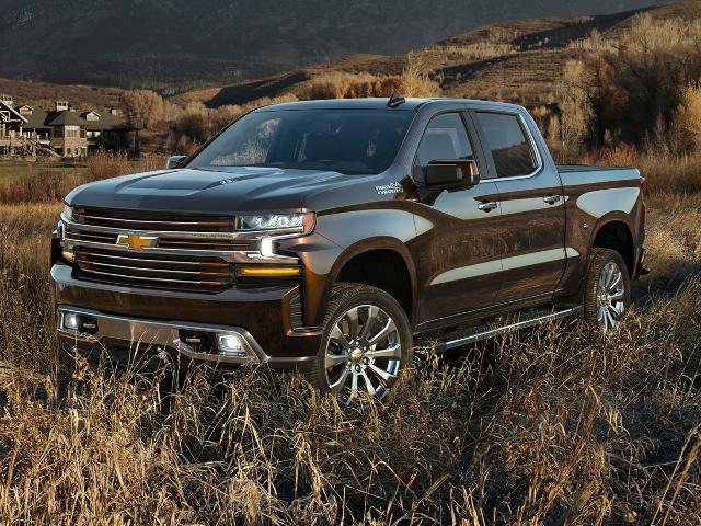 2020 Chevrolet Silverado 1500 Vehicle Photo in Akron, OH 44312