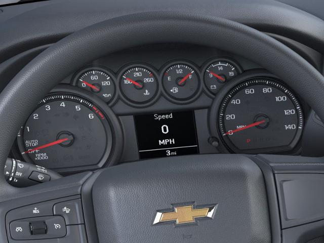 2025 Chevrolet Silverado 1500 Vehicle Photo in MASSENA, NY 13662-2255