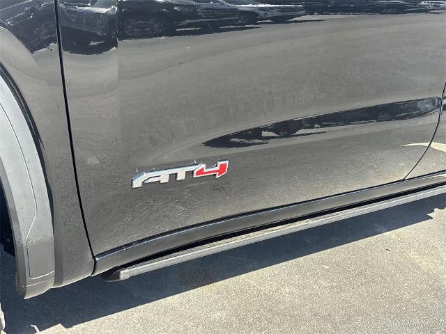 2024 GMC Sierra 1500 Vehicle Photo in ALBERTVILLE, AL 35950-0246