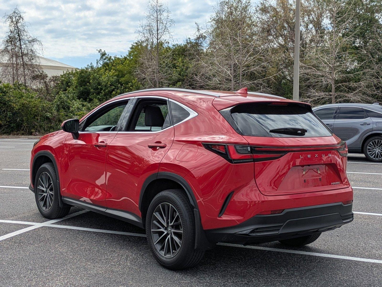 2022 Lexus NX 250 Vehicle Photo in Clearwater, FL 33761