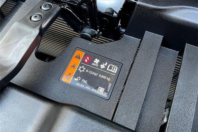 2024 Chevrolet Silverado 1500 Vehicle Photo in TOPEKA, KS 66609-0000