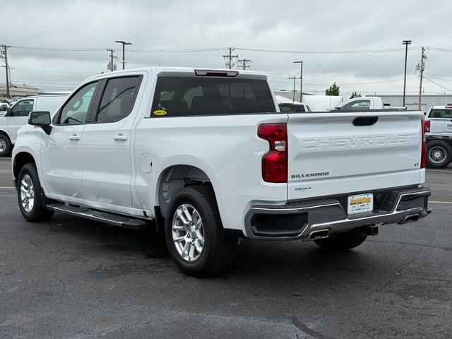 2023 Chevrolet Silverado 1500 Vehicle Photo in COLUMBIA, MO 65203-3903