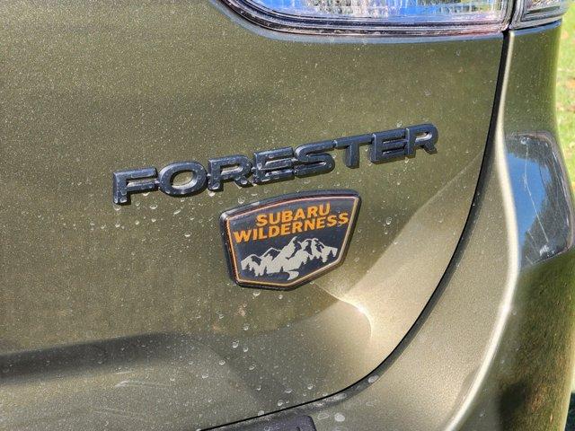 2024 Subaru Forester Vehicle Photo in DALLAS, TX 75209