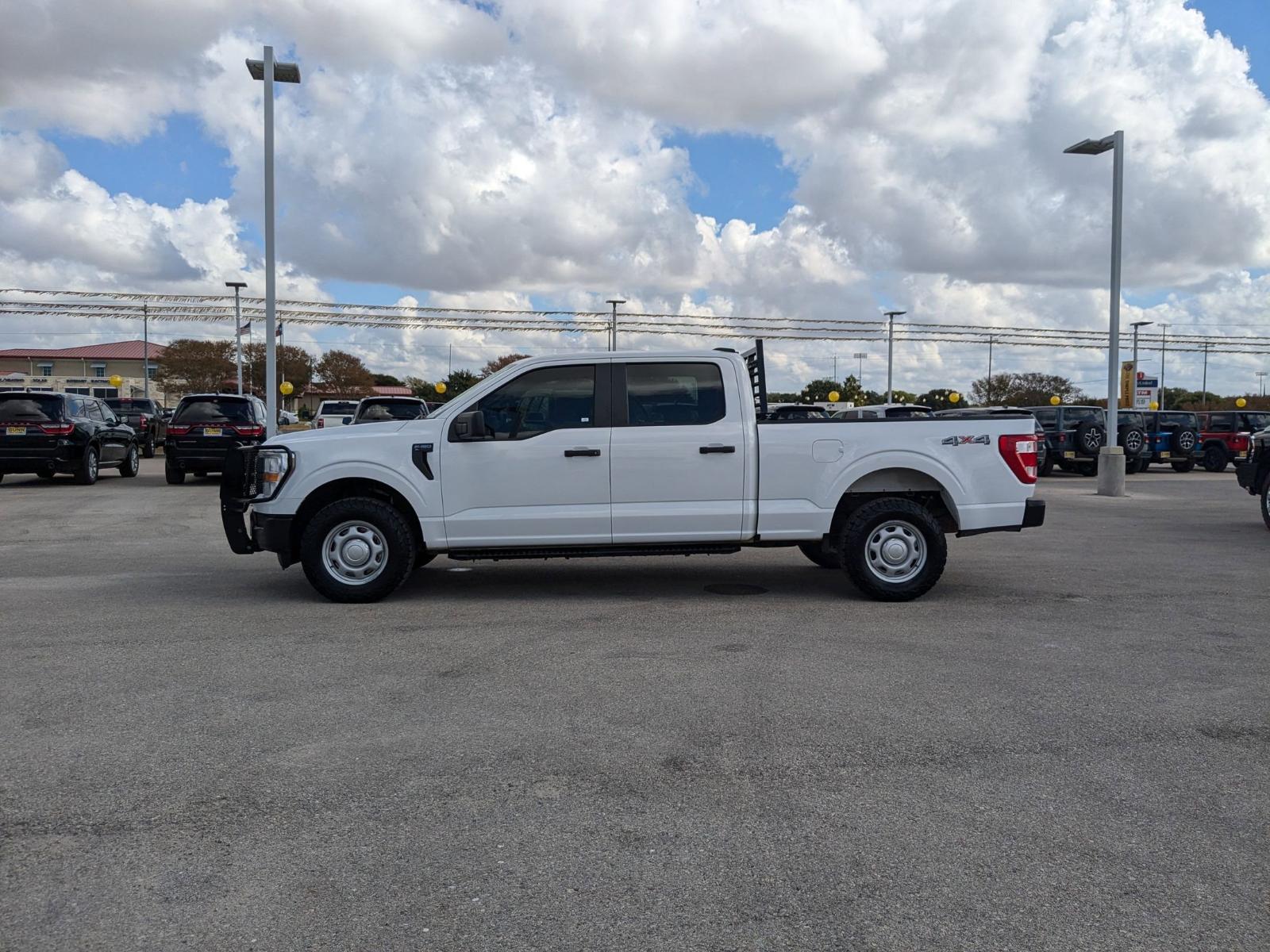 2022 Ford F-150 Vehicle Photo in Seguin, TX 78155