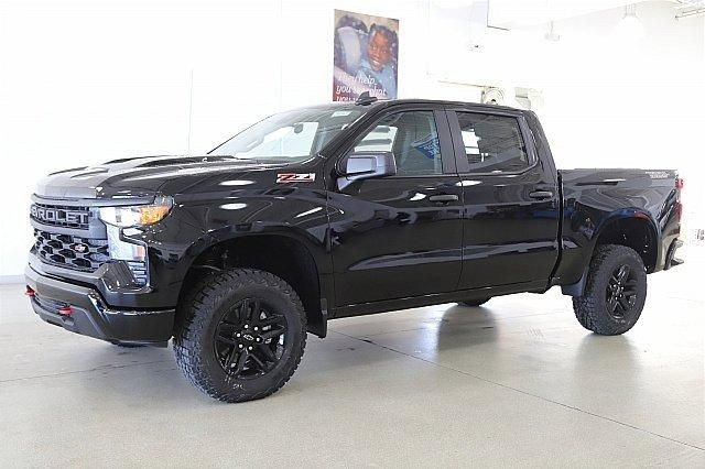 2025 Chevrolet Silverado 1500 Vehicle Photo in MEDINA, OH 44256-9001