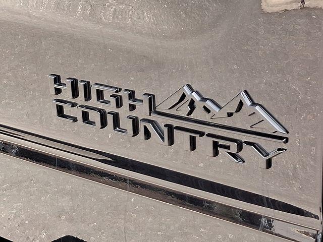 2023 Chevrolet Silverado 1500 Vehicle Photo in DANBURY, CT 06810-5034