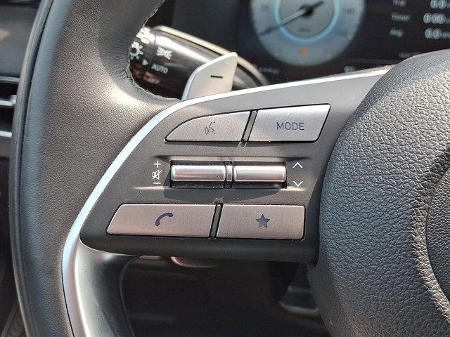 2024 Hyundai PALISADE Vehicle Photo in Philadelphia, PA 19116