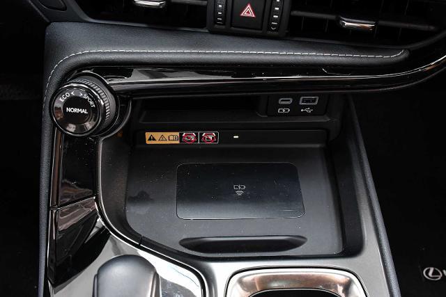 2023 Lexus NX 350 Vehicle Photo in DALLAS, TX 75235