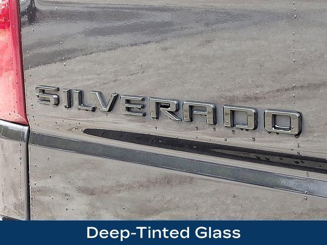 2022 Chevrolet Silverado 1500 Vehicle Photo in PAWLING, NY 12564-3219