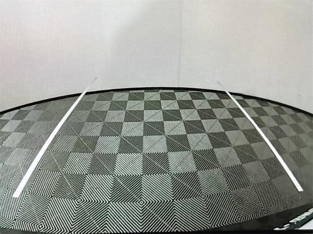 2021 Tesla Model Y Vehicle Photo in PUYALLUP, WA 98371-4149