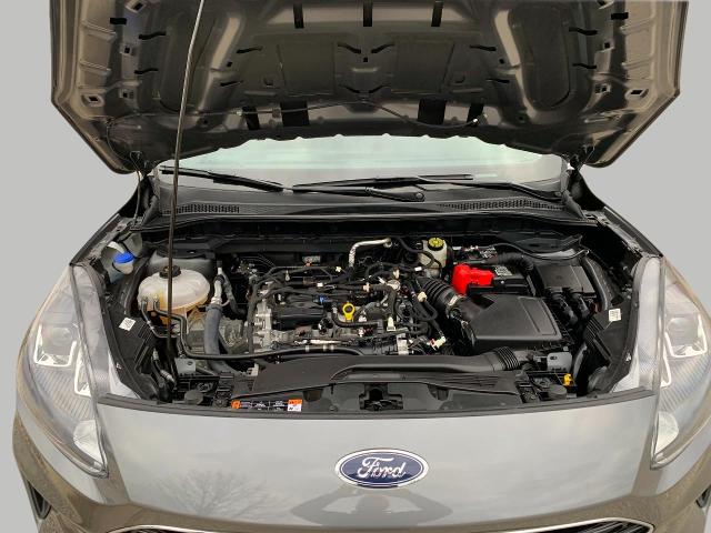 2022 Ford Escape Vehicle Photo in Oshkosh, WI 54901