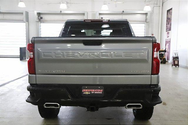 2025 Chevrolet Silverado 1500 Vehicle Photo in MEDINA, OH 44256-9001