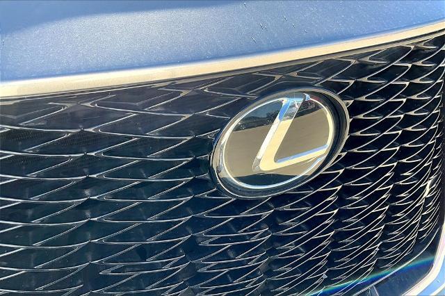 2022 Lexus NX 350 Vehicle Photo in Grapevine, TX 76051