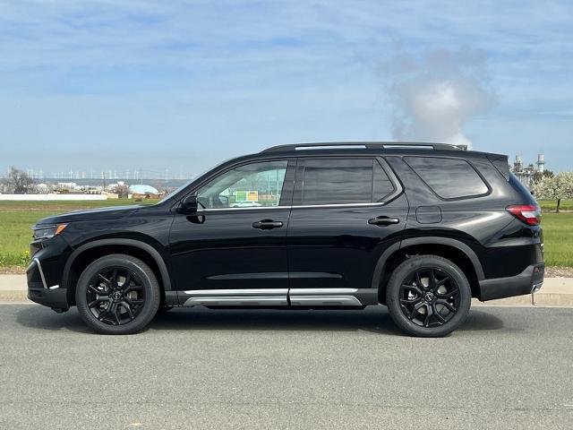 2025 Honda Pilot Vehicle Photo in PITTSBURG, CA 94565-7121