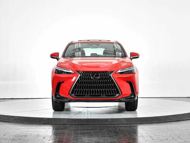 2024 Lexus NX 250 Vehicle Photo in DALLAS, TX 75235