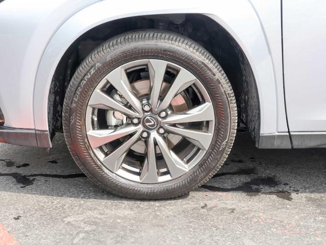 2024 Lexus UX 250h Vehicle Photo in Dallas, TX 75209