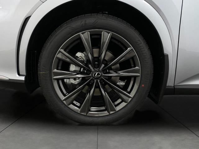 2025 Lexus RX 350 Vehicle Photo in Appleton, WI 54913