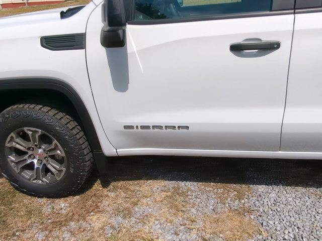 2024 GMC Sierra 1500 Vehicle Photo in ALBERTVILLE, AL 35950-0246