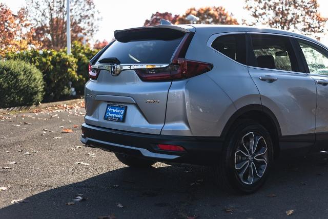 2020 Honda CR-V Vehicle Photo in NEWBERG, OR 97132-1927