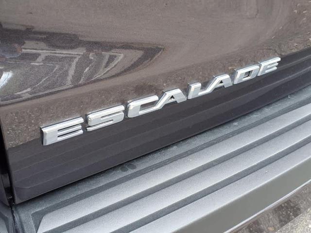 2018 Cadillac Escalade ESV Vehicle Photo in San Antonio, TX 78230-1001