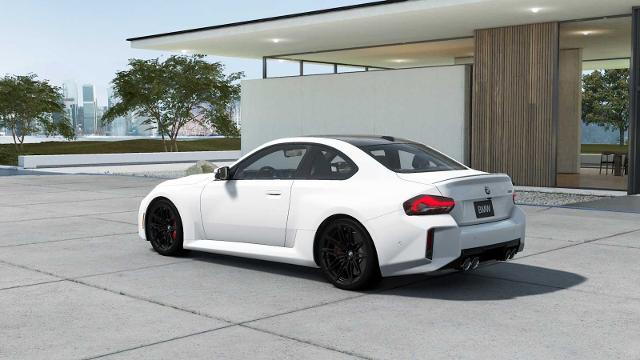 2025 BMW M2 Vehicle Photo in GRAPEVINE, TX 76051