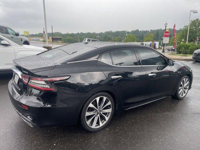 2019 Nissan Maxima Vehicle Photo in Jenkintown, PA 19046
