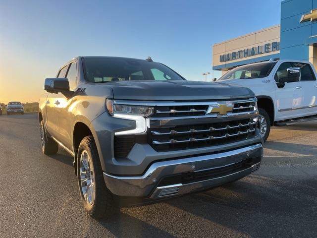 2025 Chevrolet Silverado 1500 Vehicle Photo in GLENWOOD, MN 56334-1123