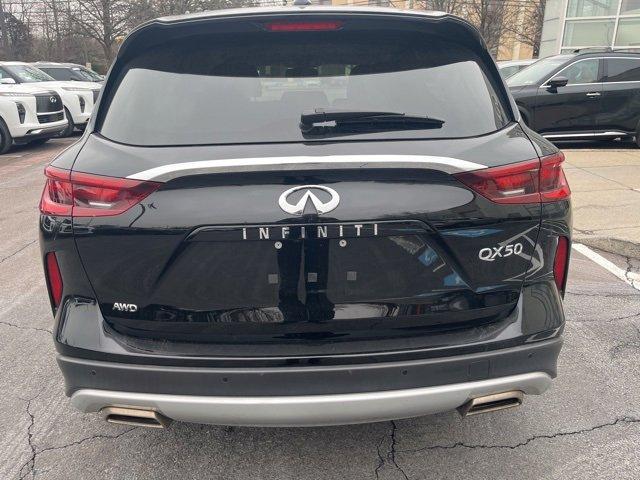 2022 INFINITI QX50 Vehicle Photo in Willow Grove, PA 19090