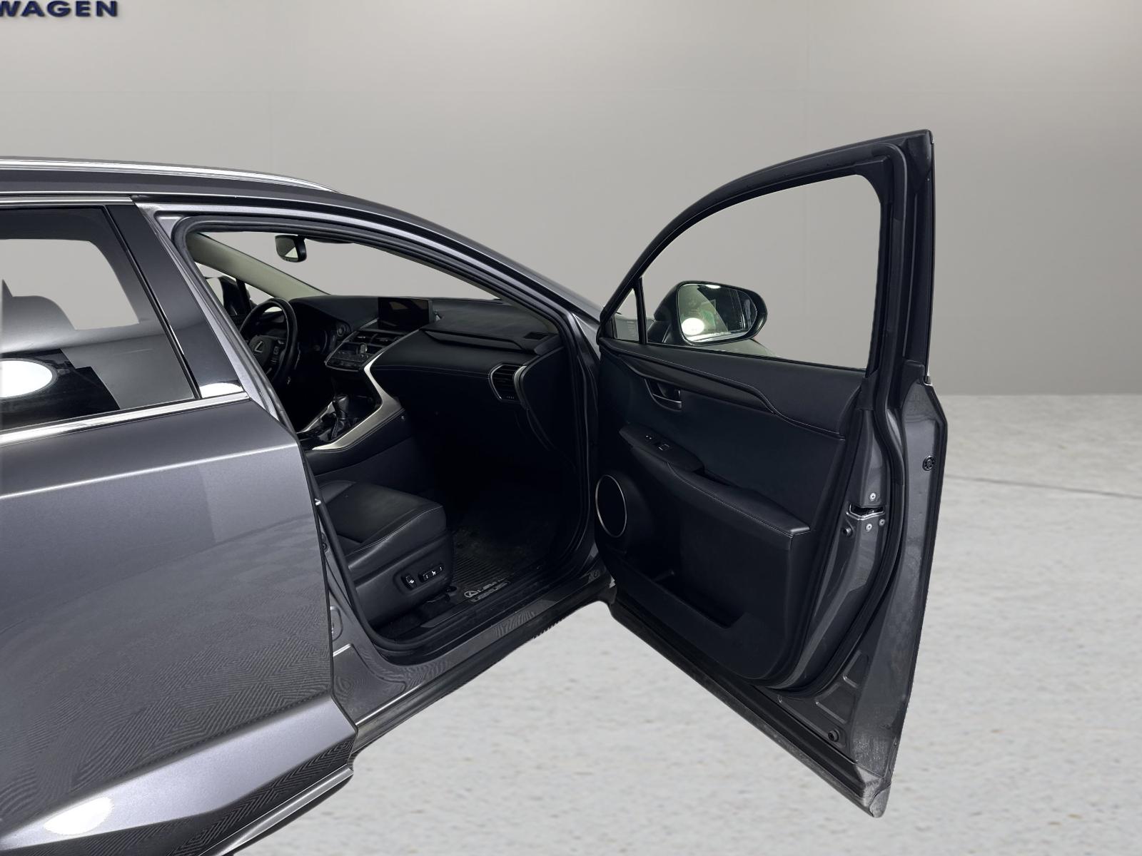 2019 Lexus NX 300 Vehicle Photo in Georgetown, TX 78626