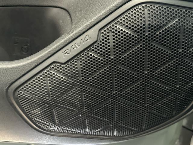 2019 Toyota RAV4 Vehicle Photo in DALLAS, TX 75209