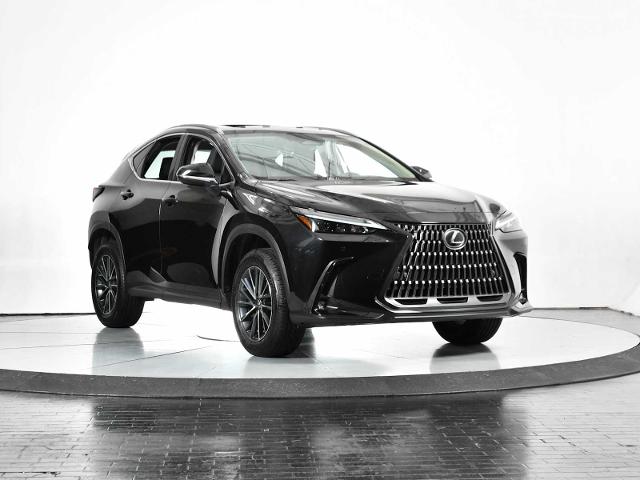2025 Lexus NX 250 Vehicle Photo in DALLAS, TX 75235