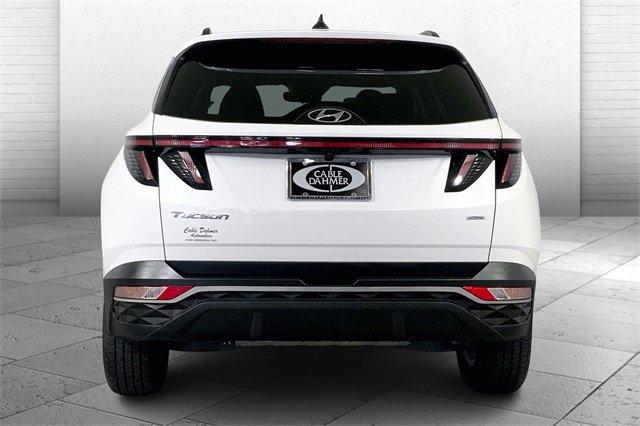 2022 Hyundai Tucson Vehicle Photo in INDEPENDENCE, MO 64055-1314