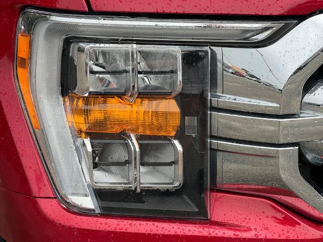 2021 Ford F-150 Vehicle Photo in Brunswick, GA 31525