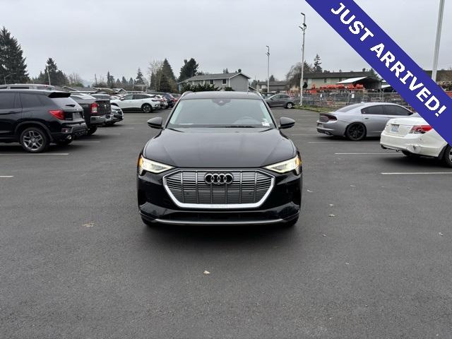 2019 Audi e-tron Vehicle Photo in Puyallup, WA 98371