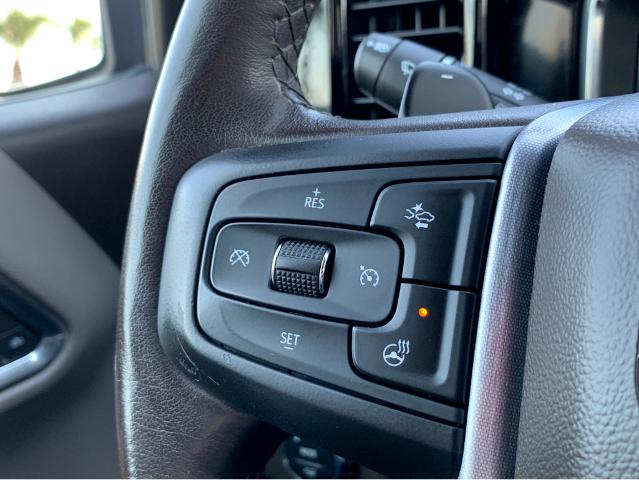 2023 GMC Sierra 1500 Vehicle Photo in BEAUFORT, SC 29906-4218