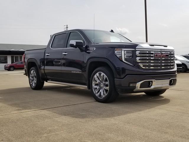 2024 GMC Sierra 1500 Vehicle Photo in ELYRIA, OH 44035-6349