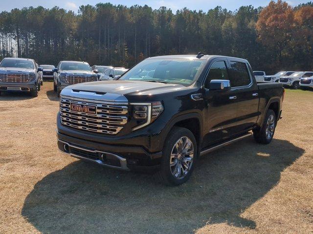 2025 GMC Sierra 1500 Vehicle Photo in ALBERTVILLE, AL 35950-0246