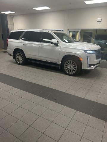 2021 Cadillac Escalade Vehicle Photo in San Antonio, TX 78230