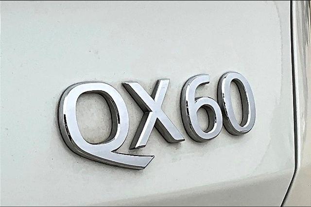 2024 INFINITI QX60 Vehicle Photo in Grapevine, TX 76051