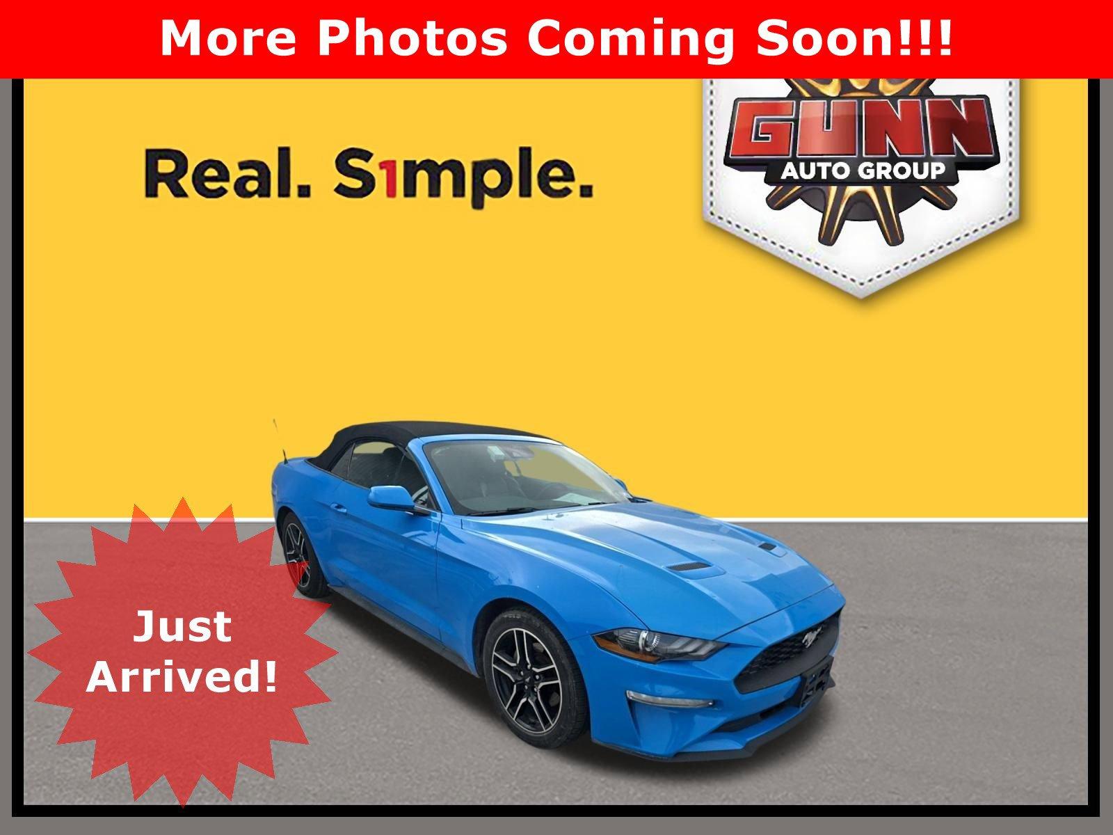 2022 Ford Mustang Vehicle Photo in Seguin, TX 78155