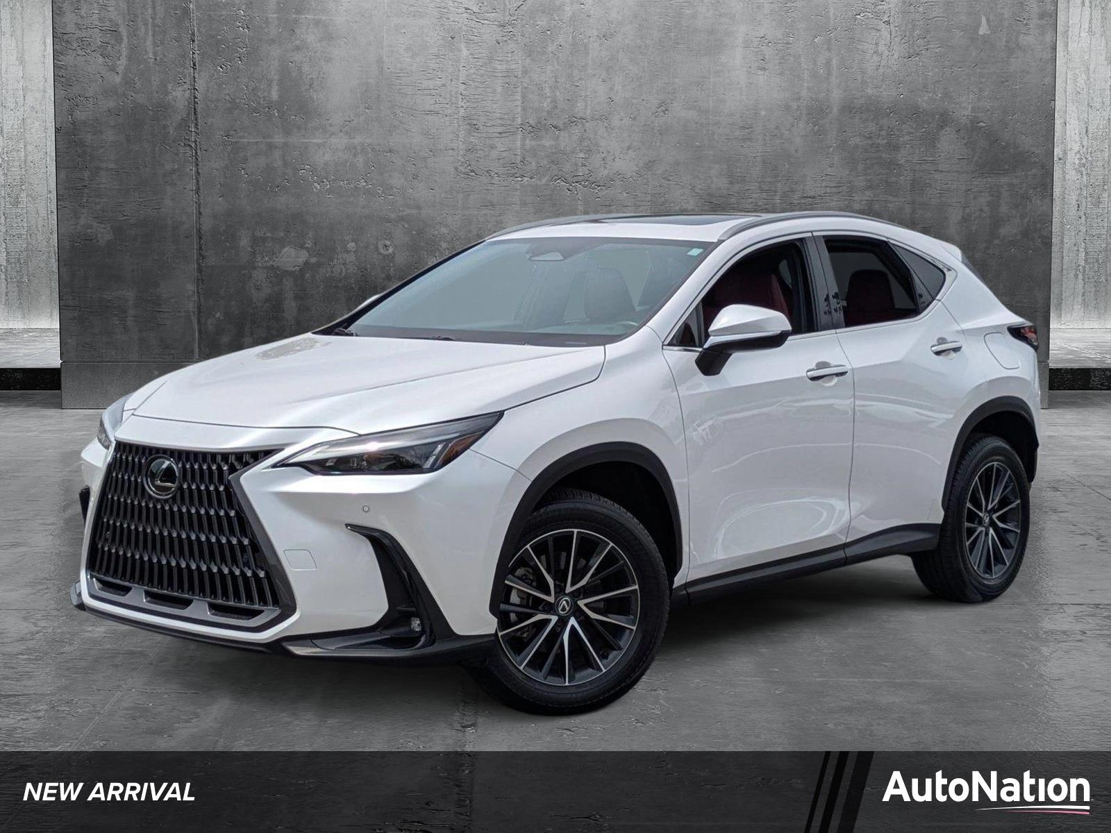 2024 Lexus NX 250 Vehicle Photo in Clearwater, FL 33761