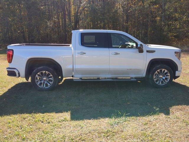 2025 GMC Sierra 1500 Vehicle Photo in ALBERTVILLE, AL 35950-0246