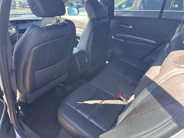 2022 Cadillac XT4 Vehicle Photo in San Antonio, TX 78230