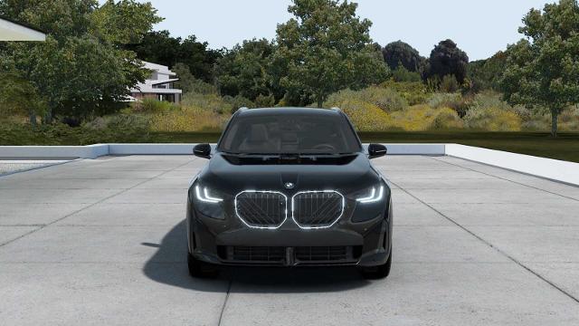 2025 BMW X3 30 xDrive Vehicle Photo in GRAPEVINE, TX 76051