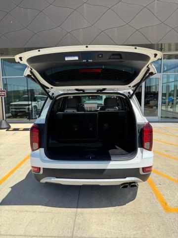 2020 Hyundai PALISADE Vehicle Photo in Peoria, IL 61615