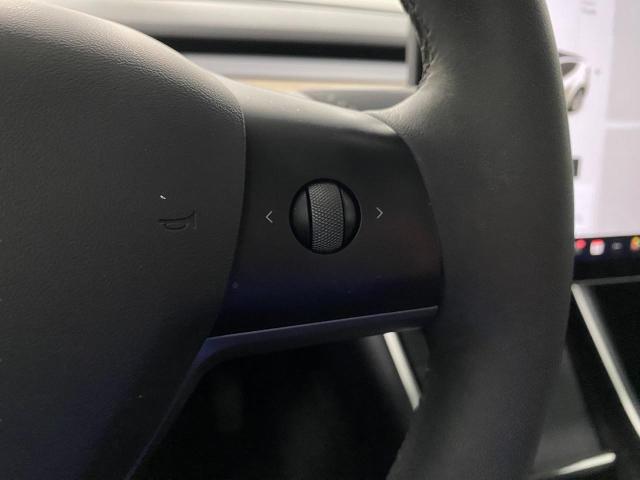 2021 Tesla Model Y Vehicle Photo in Appleton, WI 54913
